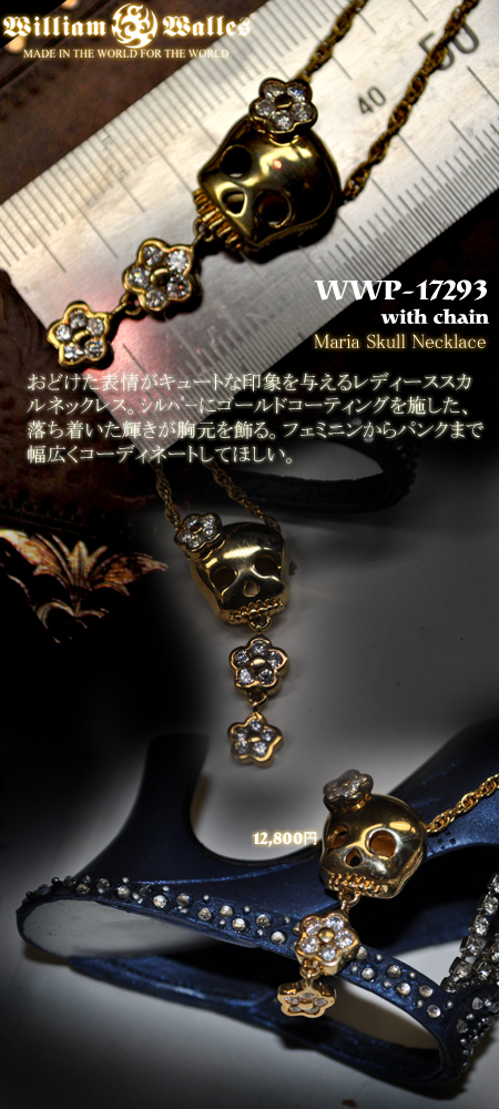 fB[Xy_g WWP-17293 with chain